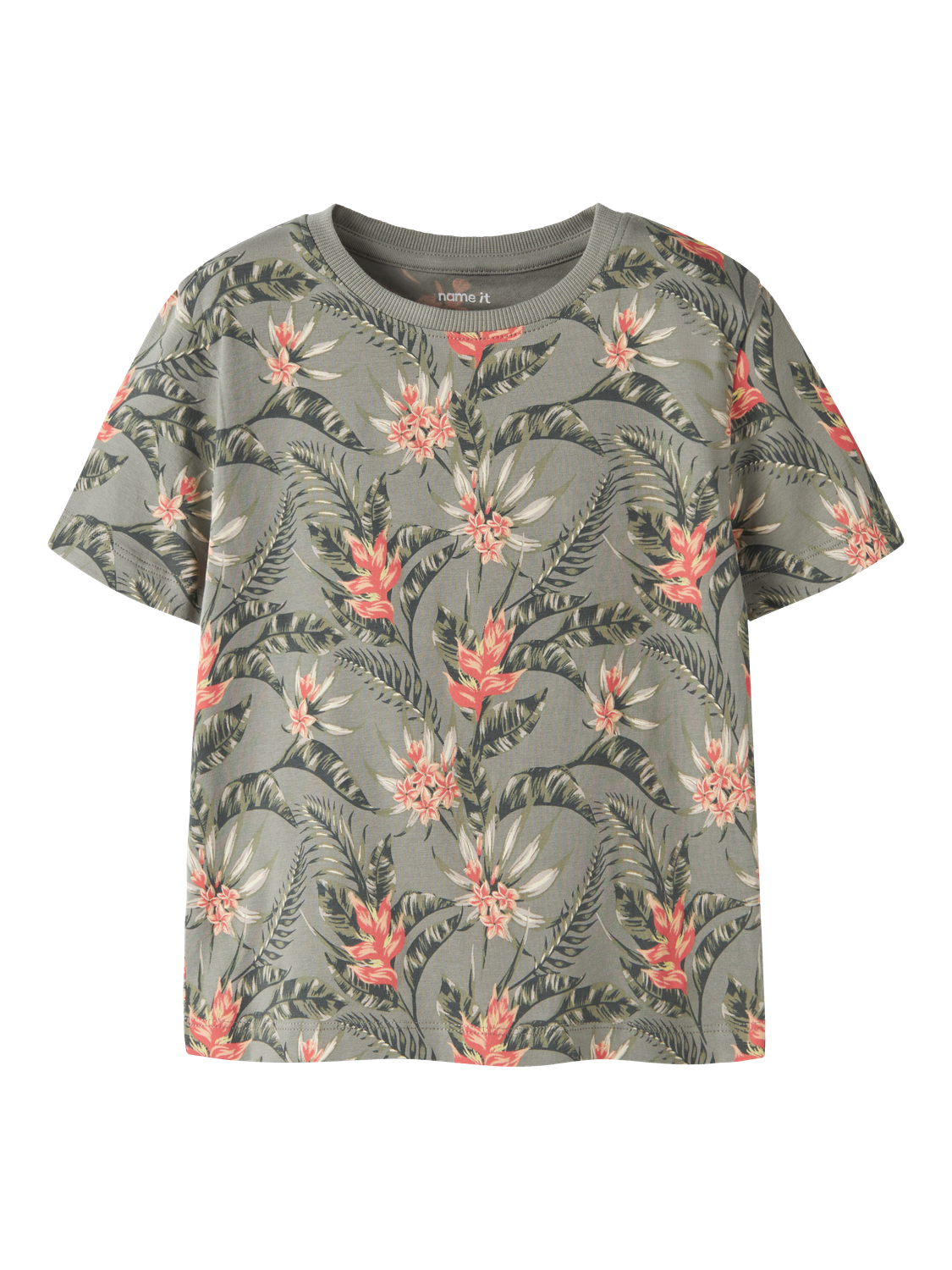 T-shirts Name it mini Nmmfluzz ss nreg top