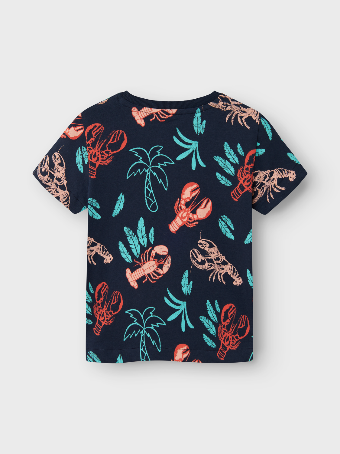 T-shirts Name it mini Nmmfelen ss top