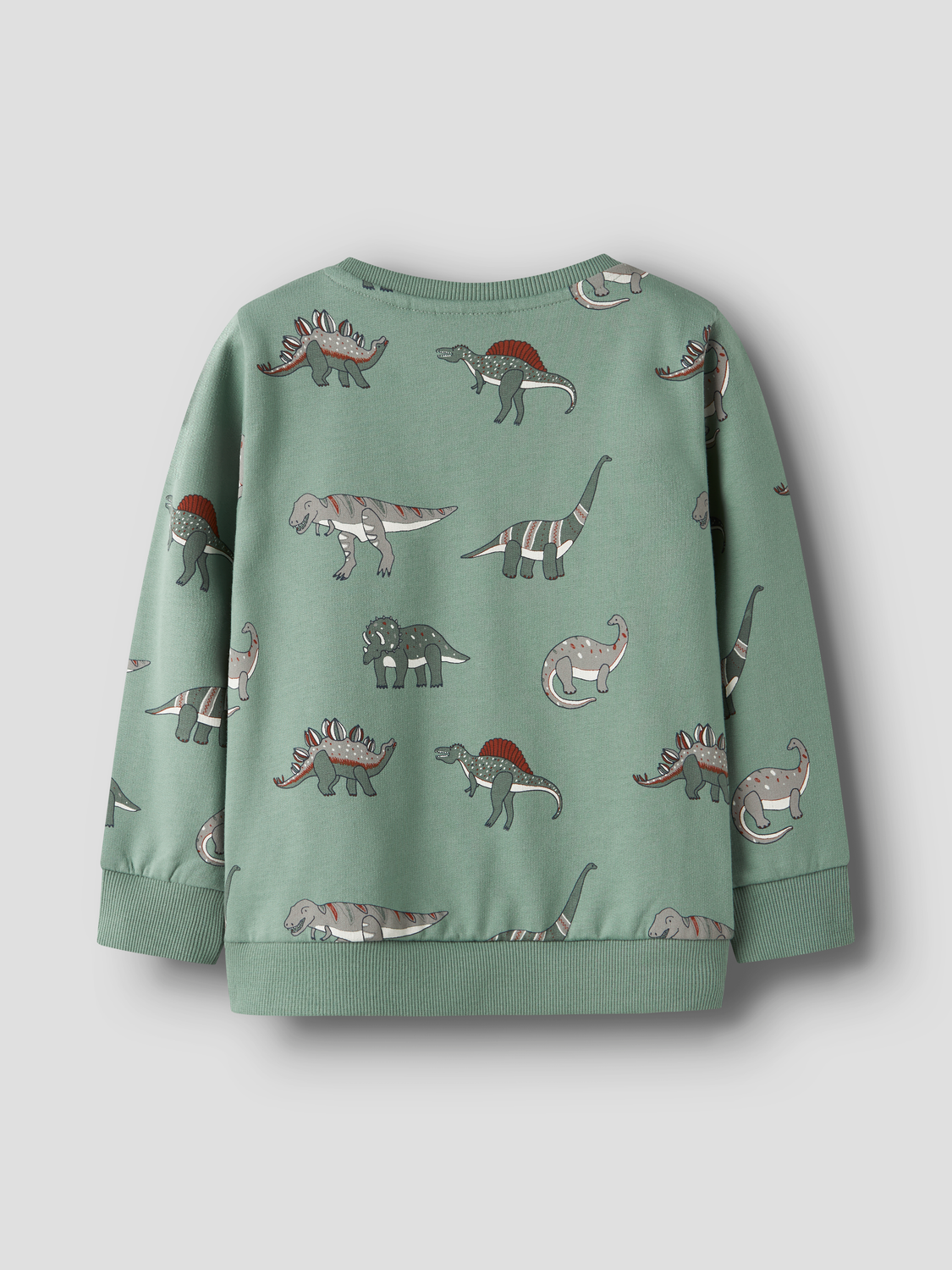 Sweat-shirt Name it mini Nmmnenean ls swe bru pb