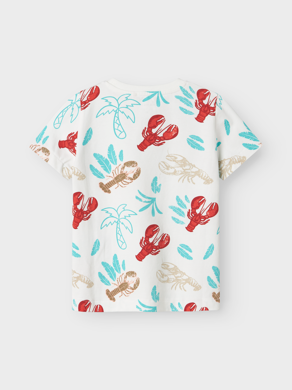 T-shirts Name it mini Nmmfelen ss top