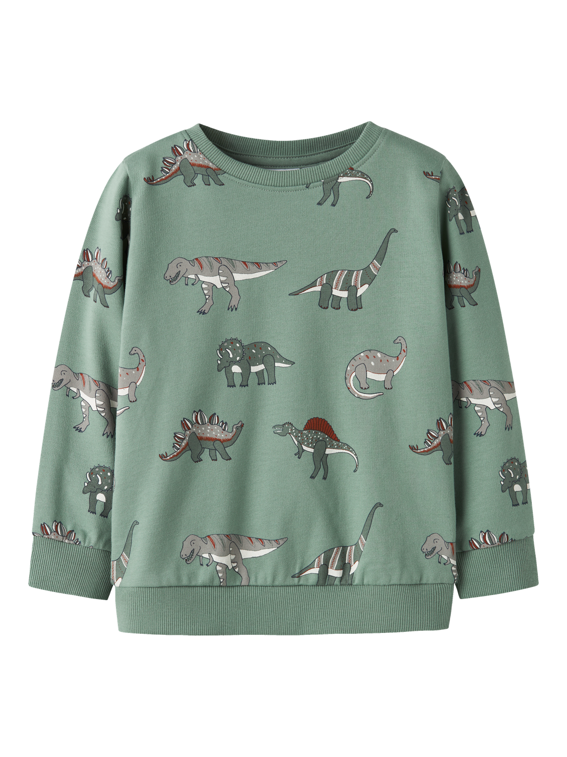 Sweat-shirt Name it mini Nmmnenean ls swe bru pb