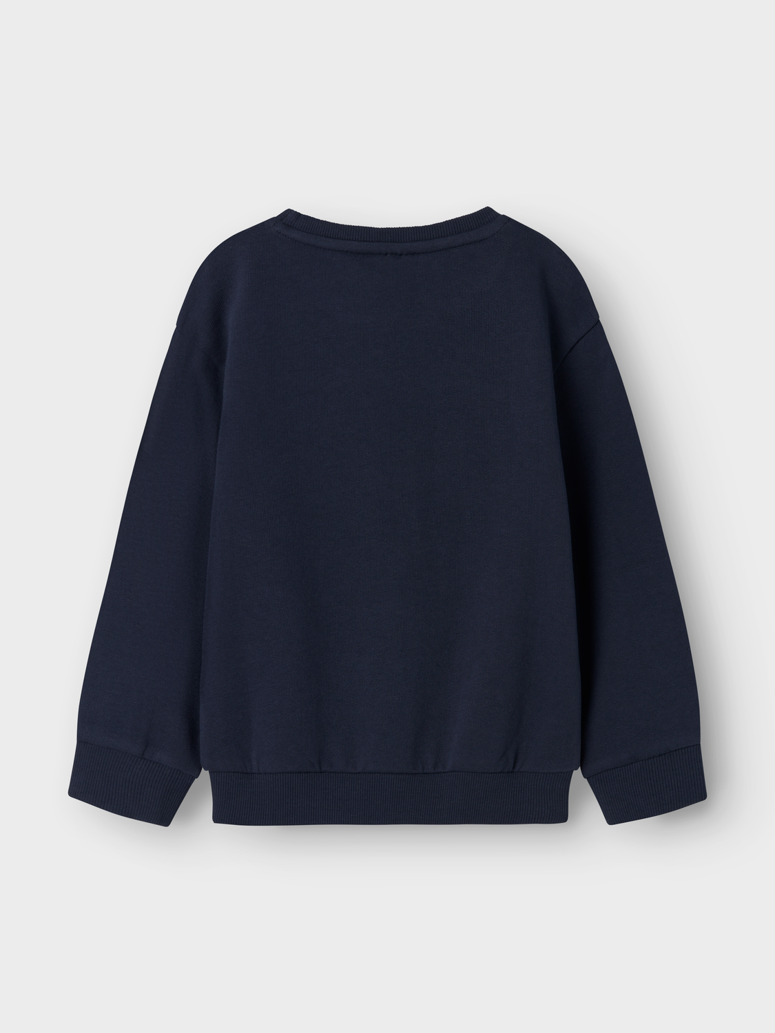 Sweat-shirt Name it mini Nmfdcare nreg sweat unb
