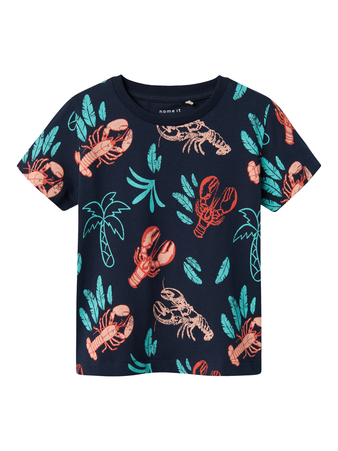 T-shirts Name it mini Nmmfelen ss top