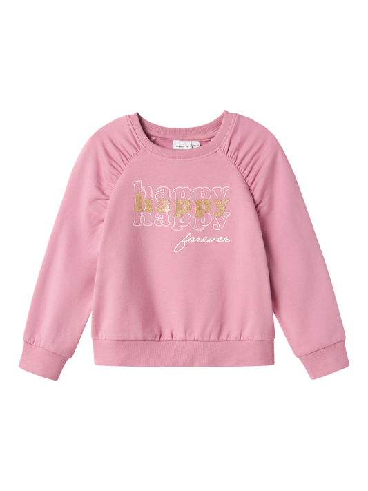 Sweat-shirt Name it mini Nmfnaiomi nreg sweat bru box