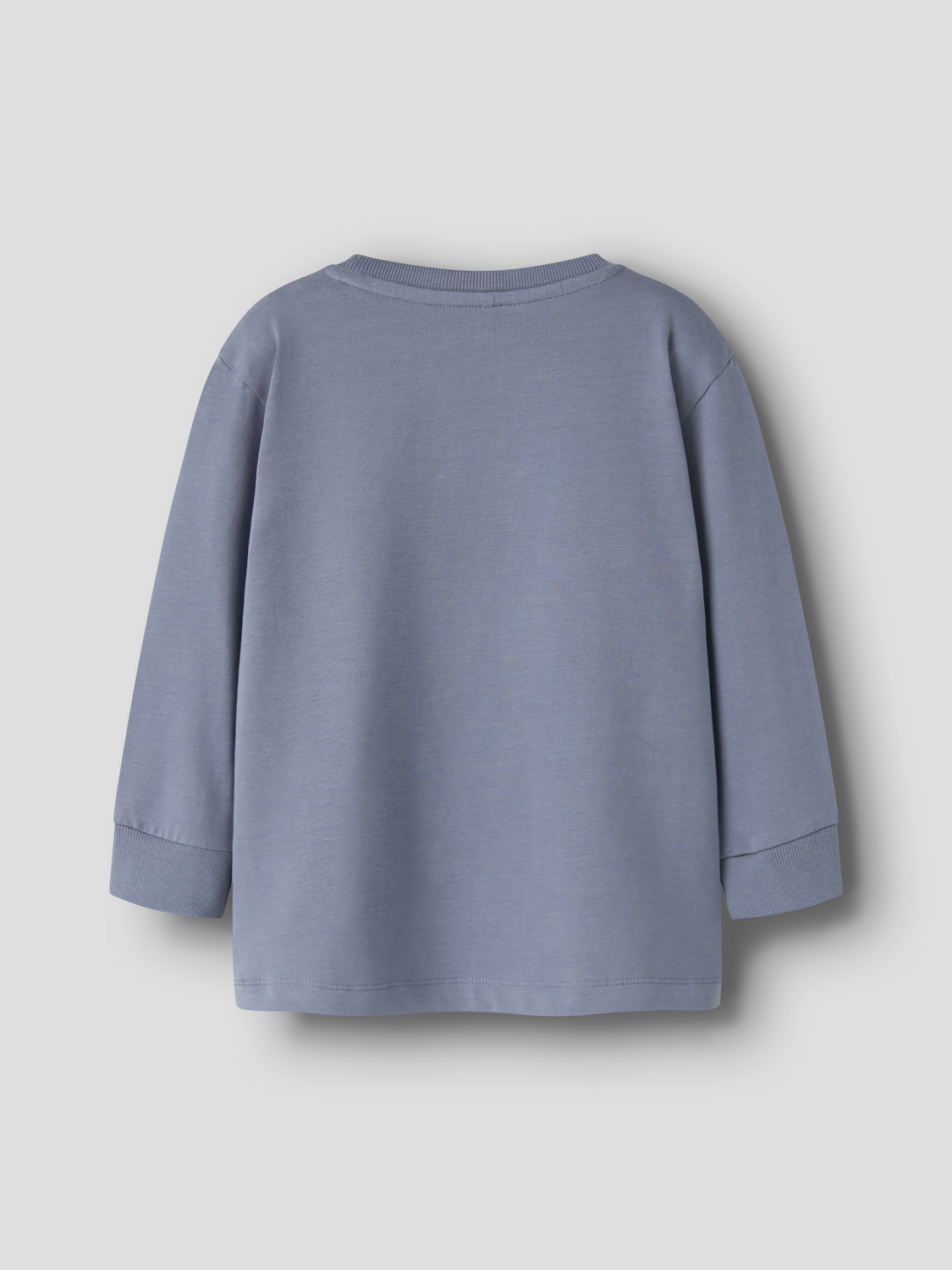 T-shirts Name it mini Nmmricardo ls nreg top box
