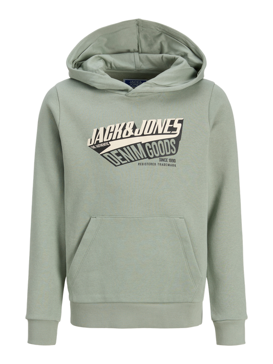 Sweat-shirt Jack&jones junior Jjelogo sweat hood 2 col 25/26 noos jnr
