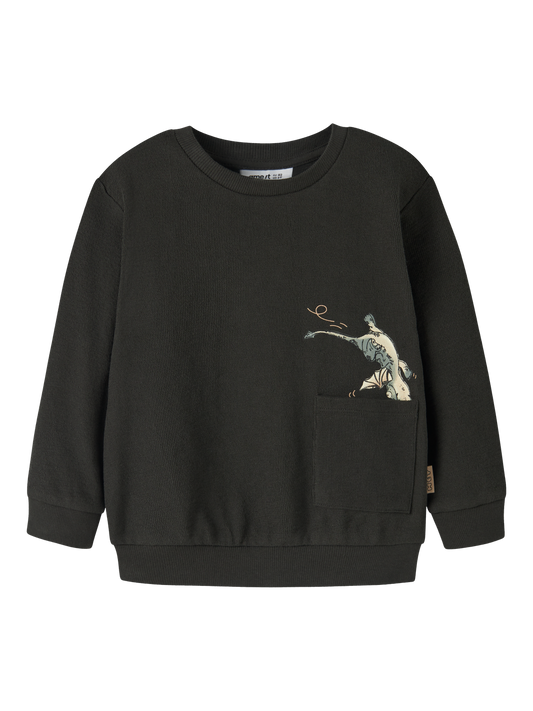Sweat-shirt Name it mini Mini garçon