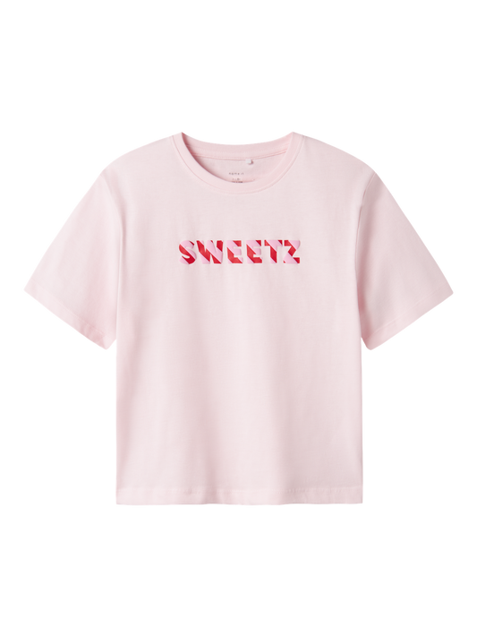 T-shirts Name it kids Nkffamor ss nreg top box