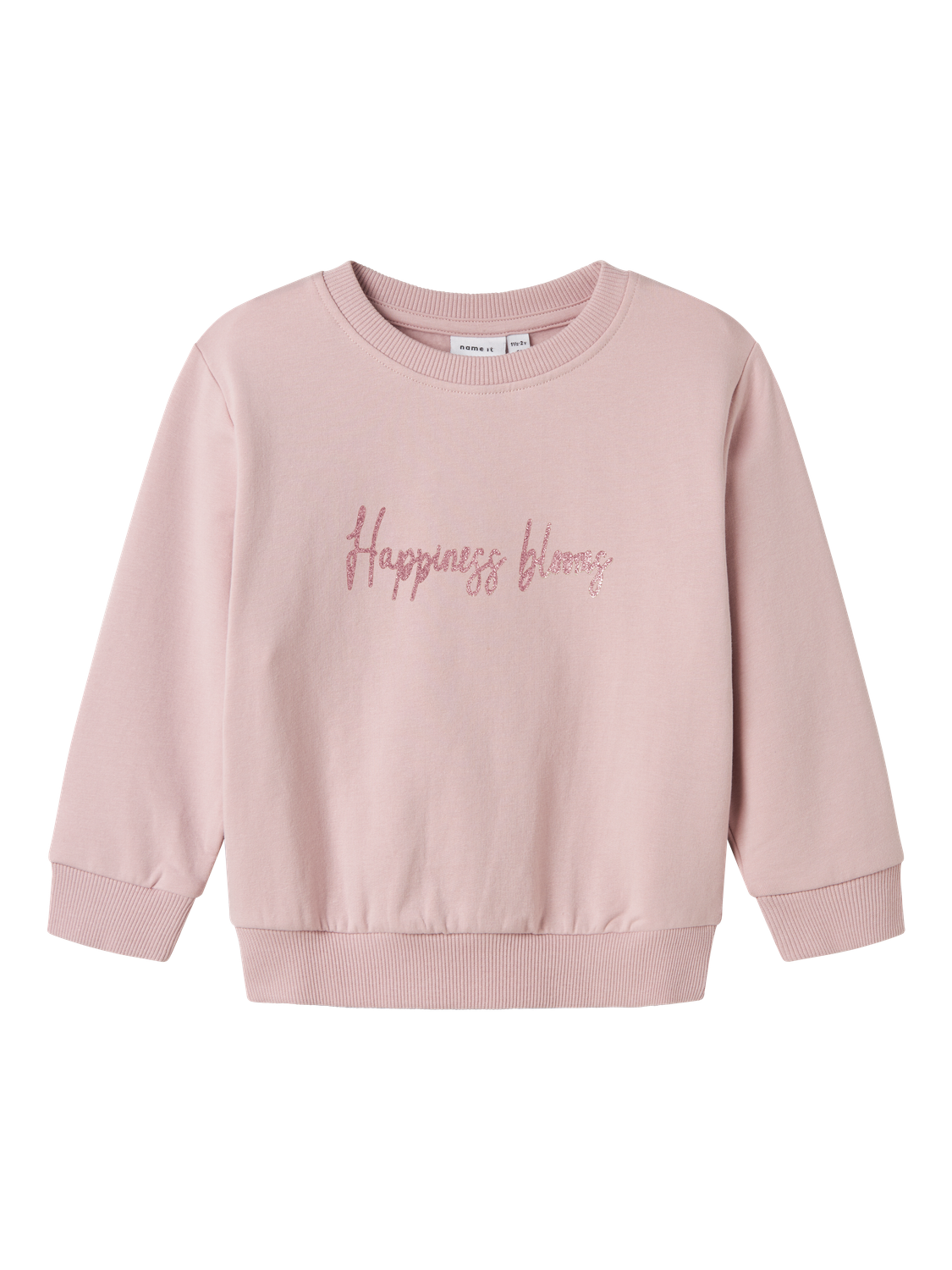 Sweat-shirt Name it mini Nmflaise nreg sweat bru