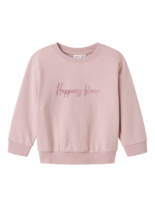 Sweat-shirt Name it mini Nmflaise nreg sweat bru