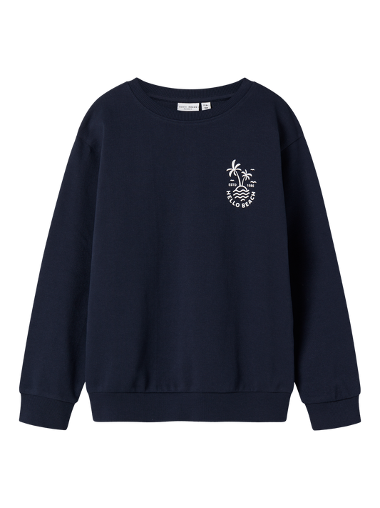 Sweat-shirt Name it kids Nkmvasse ls nreg sweat unb