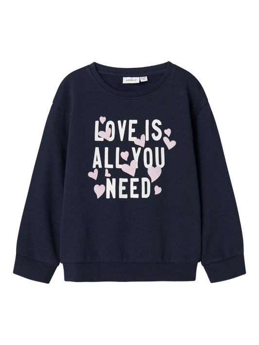 Sweat-shirt Name it mini Nmfdcare nreg sweat unb