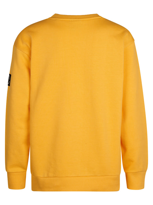 Sweat-shirt PETROL INDUSTRIES B-3050-SWR355