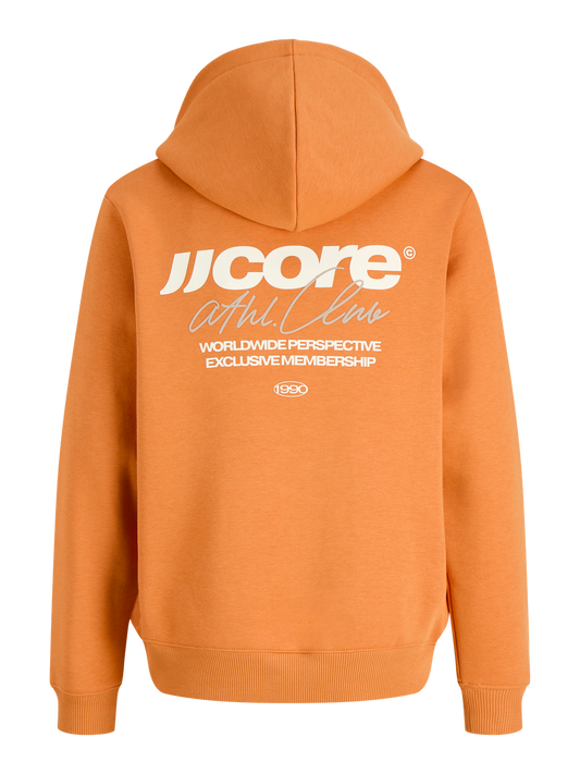 Sweat-shirt à capuche garçon Jack & Jones Junior - Club