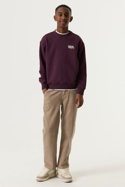 Sweat-shirt garçon bordeaux Garcia - V263660