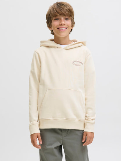 Sweat-shirt garçon Jack & Jones Junior - Jjebrandes