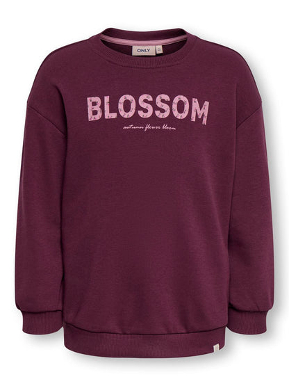 Sweat-shirt-Kids mini girl-KMGGEORGIA LIFE LS PRINT UB SWT NOOS