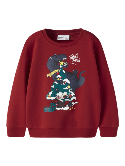 Sweat-shirt garçon enfant Name It Mini - Rane