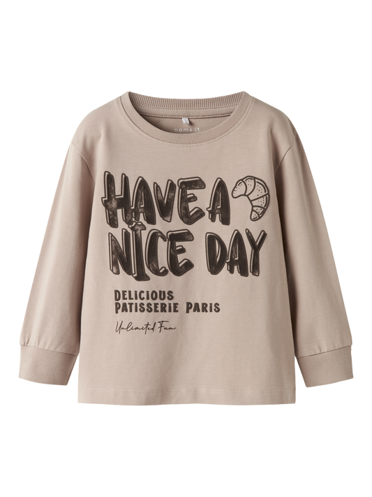 T-shirts Name it mini Nmmricardo ls nreg top box