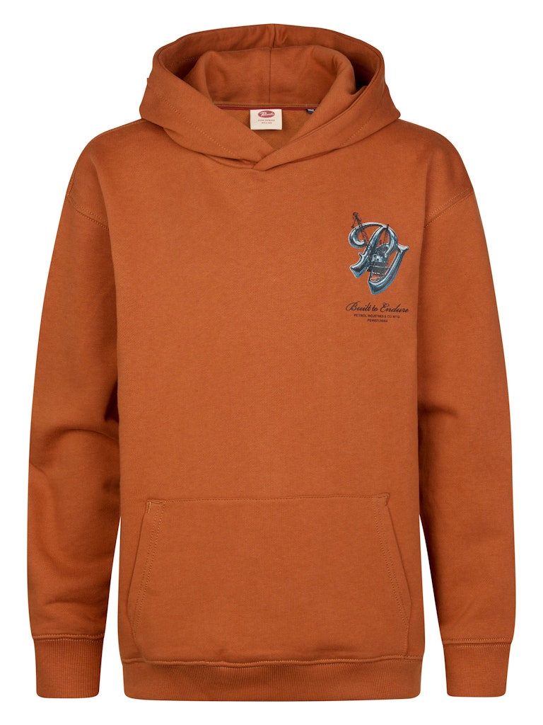 Sweat-shirt garçon Petrol Industries - Sweat-shirt Capuche