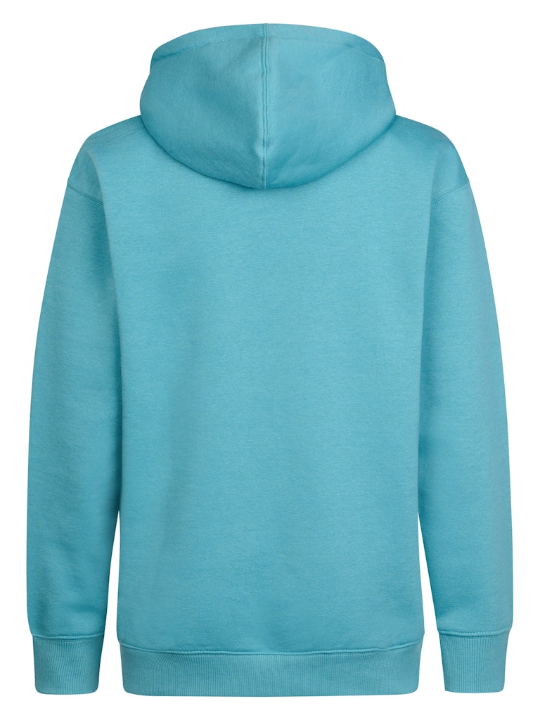Sweat-shirt à capuche garçon Petrol Industries - Iron Blue