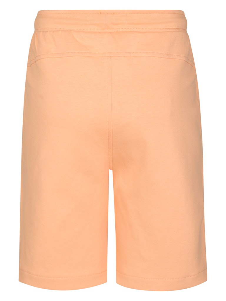 Short jogging Petrol Industries B-1060-SHO545