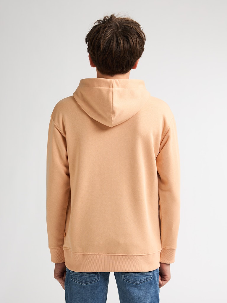 Sweat à capuche Petrol Industries B-1060-SWH350