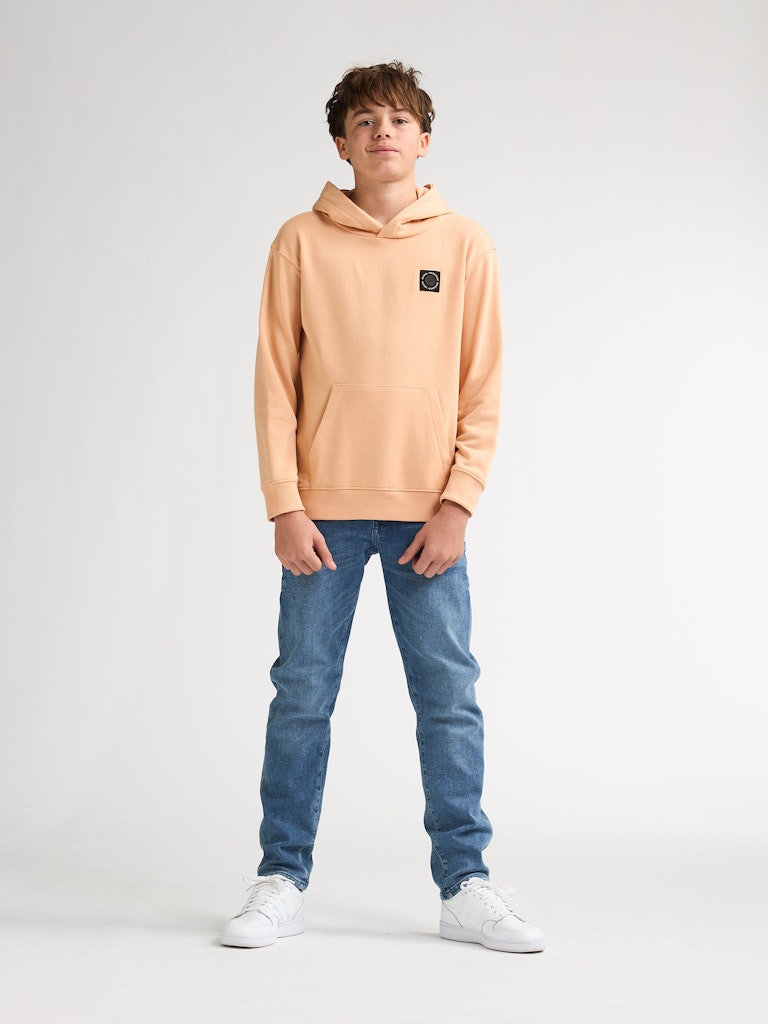 Sweat à capuche Petrol Industries B-1060-SWH350