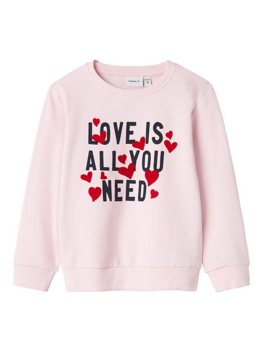 Sweat-shirt Name it mini Nmfdcare nreg sweat unb