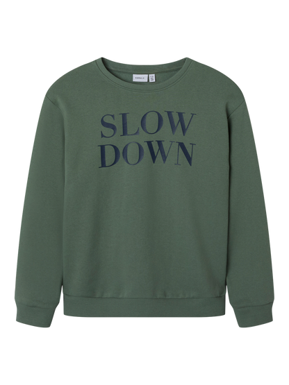 Sweat-shirt Name it kids Nkmnello ls nreg swe bru pb