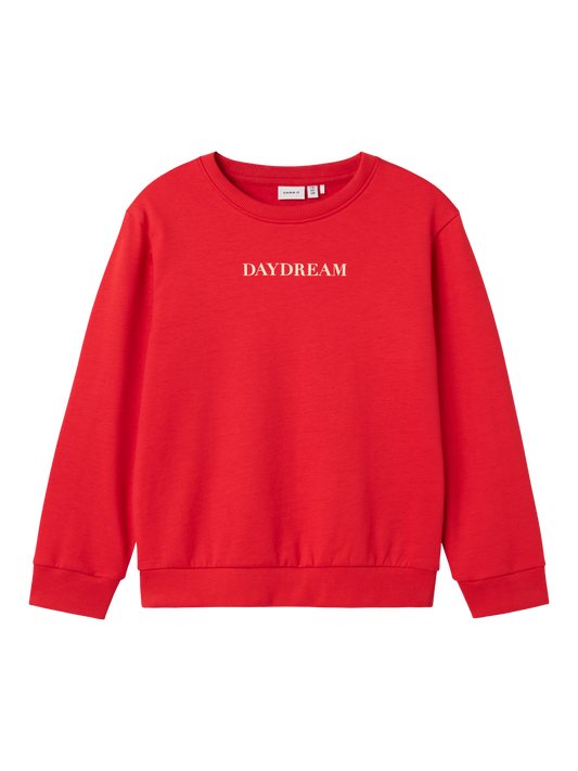 Sweat-shirt Name it kids Nkfnoriana ls nreg swe bru pb