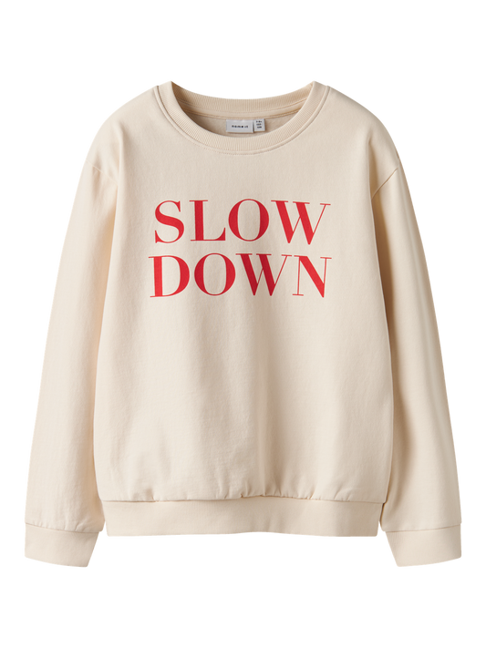 Sweat-shirt Name it kids Nkfnoriana ls nreg swe bru pb