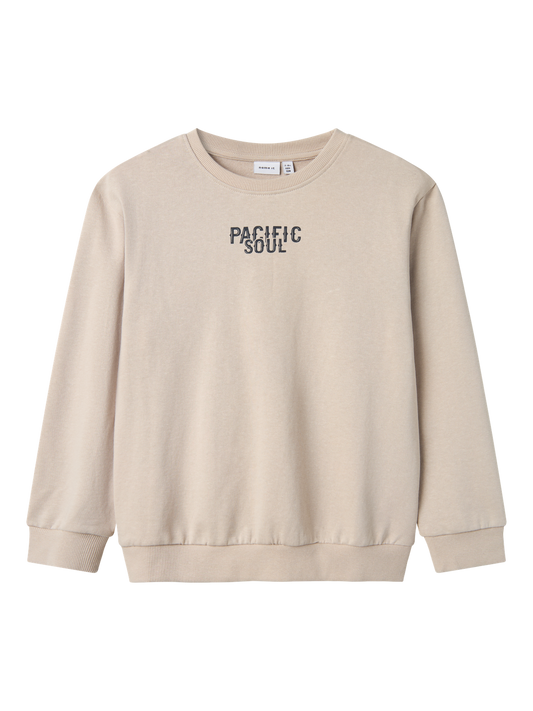 Sweat-shirt Name it kids Nkmfylimmo ls nreg sweat unb