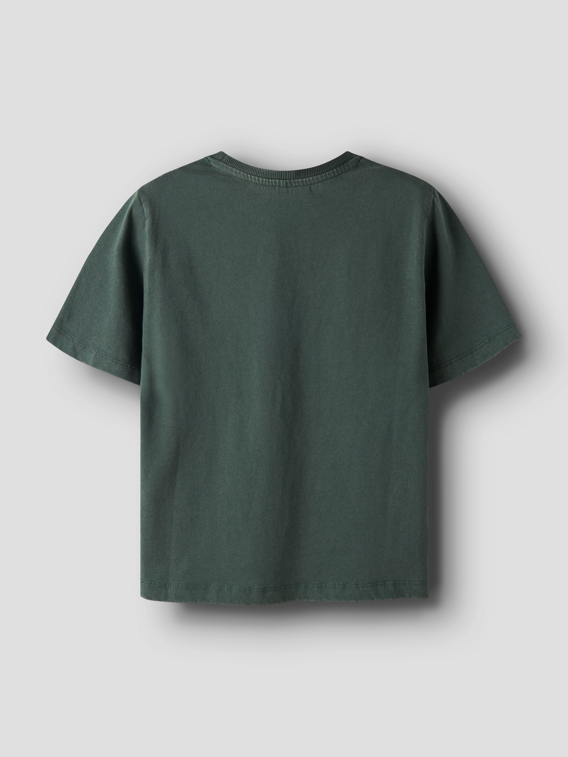 T-shirts Name it kids Nkmlayton ss nreg top