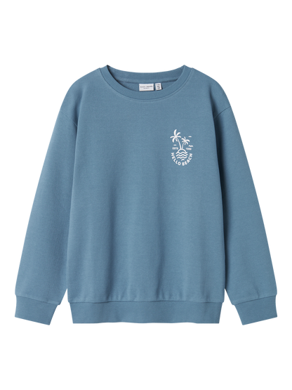 Sweat-shirt Name it kids Nkmvasse ls nreg sweat unb