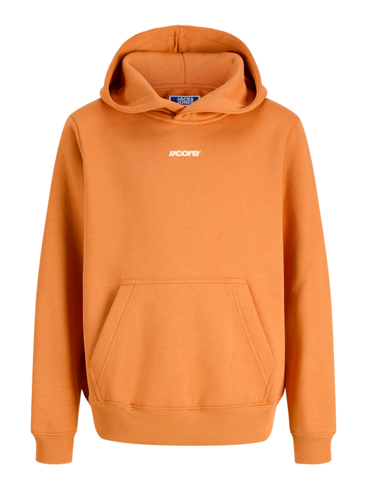Sweat-Jack&jones junior-JCOCLUB BACK SCRIPT SWEAT HOOD SN JNR