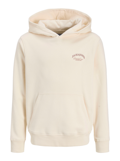 Sweat-shirt garçon Jack & Jones Junior - Jjebrandes