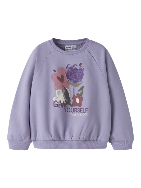 Sweat-shirt-Name it mini-NMFOKLA LS NREG SWEAT BRU BOX